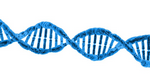 DNA